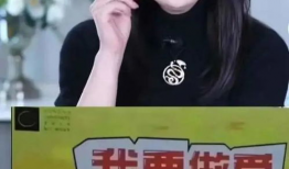 日本 性爱直播网站,暗流涌动的网络世界