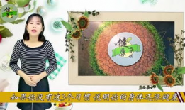 hh 漫画,穿越次元，探寻奇幻冒险之旅