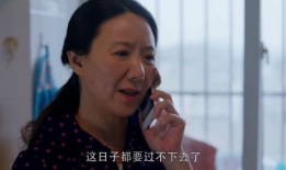 嫂子嫂子电影,揭开家庭伦理的温情与冲突