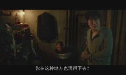 寄生虫电影在线观看,揭秘暗流涌动的生存游戏