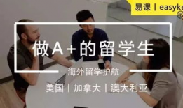 黄色电影下载,黄色电影下载的灰色地带